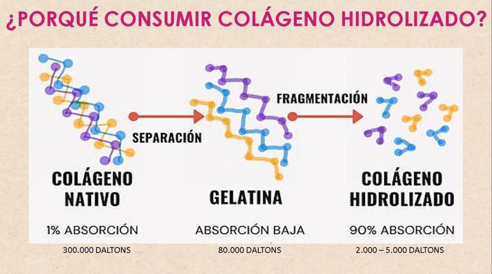 COLAGENO DOBLEMENTE HIDROLIZADO NAARA 🇧🇷